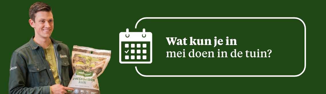 [paste advice page name here]